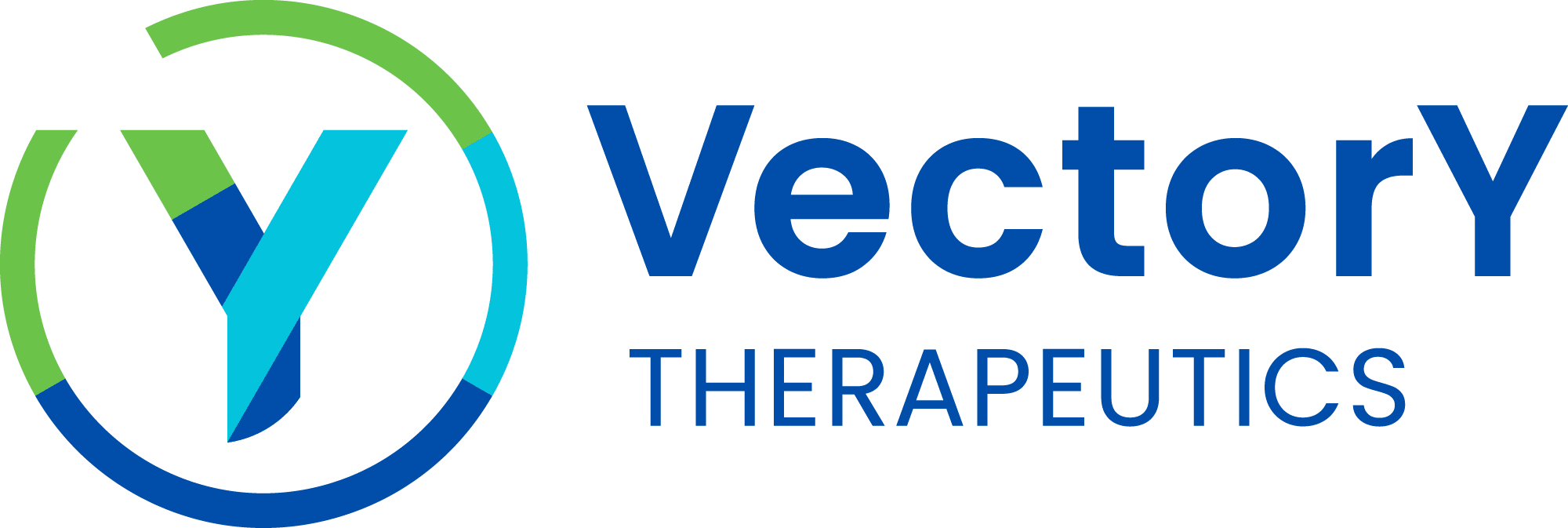 VectorY_logo